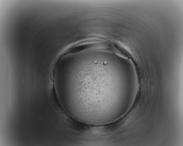 X0000090431363200707201128