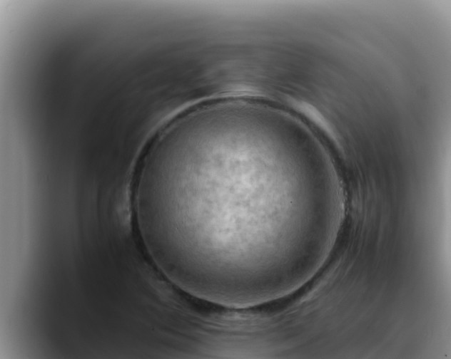 X0000090431364200707201128
