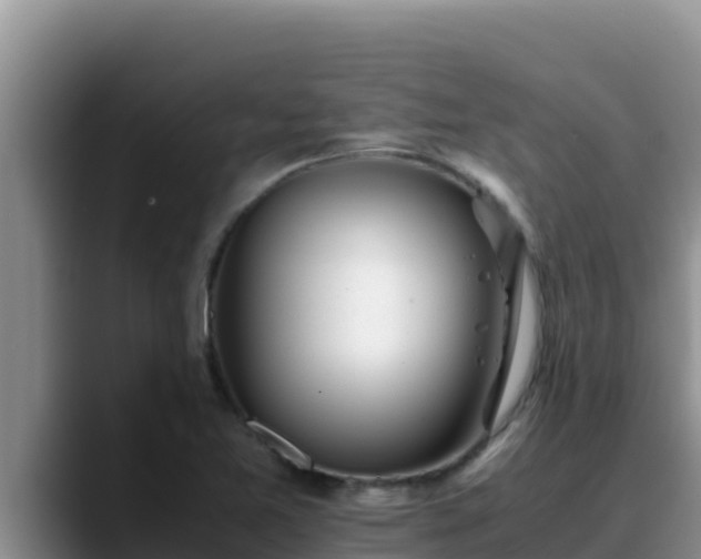 X0000090431365200707201128