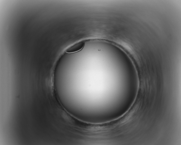 X0000090431366200707201128