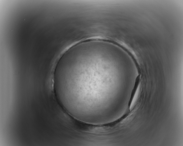 X0000090431367200707201128