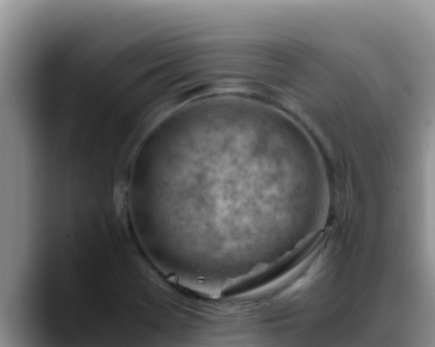 X0000090431369200707201128