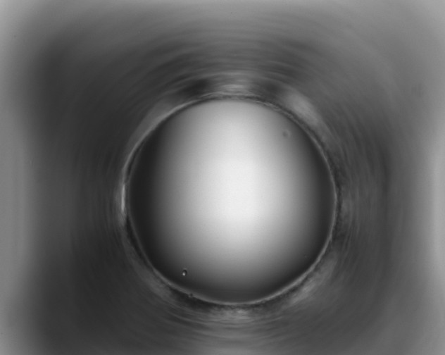 X0000090431370200707201128