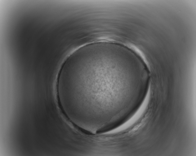 X0000090431373200707201128