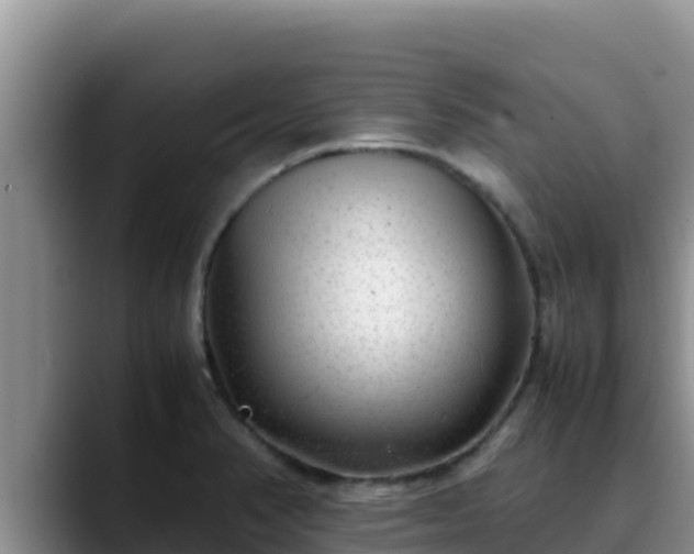 X0000090431374200707201128