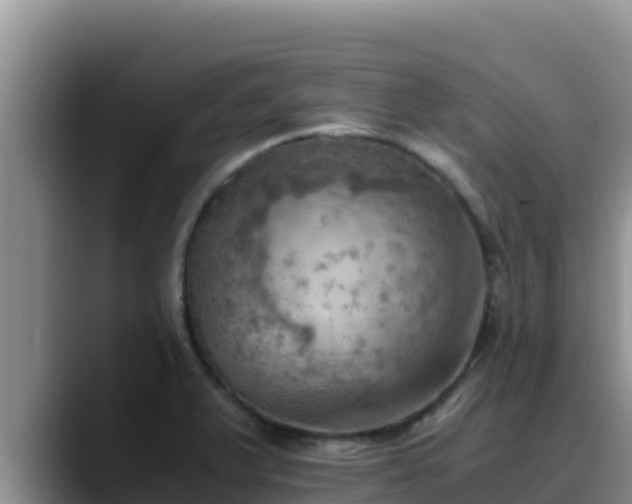 X0000090431375200707201128
