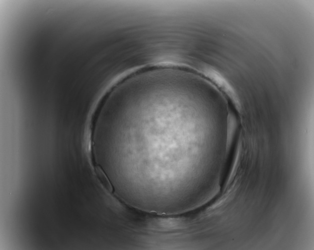 X0000090431376200707201128
