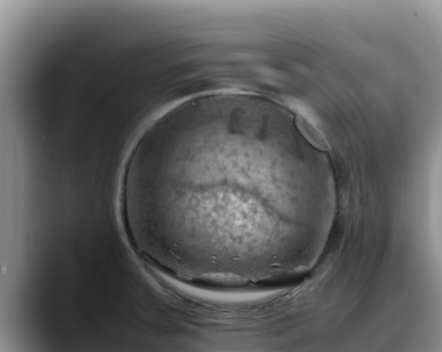 X0000090431379200707201128