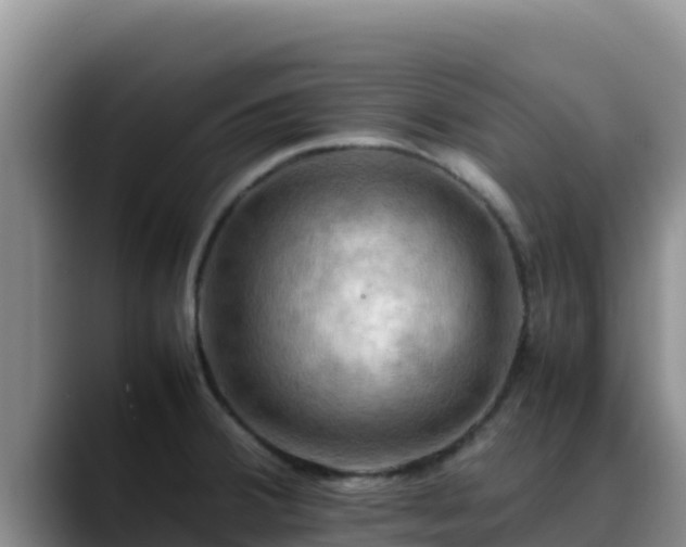 X0000090431380200707201128