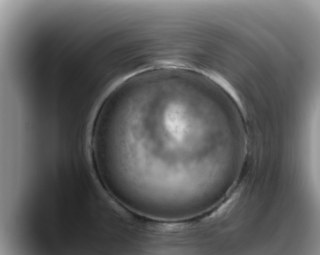 X0000090431381200707201128