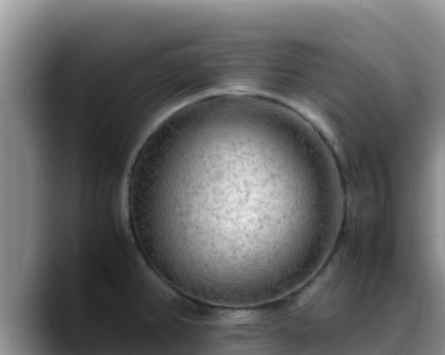 X0000090431382200707201128