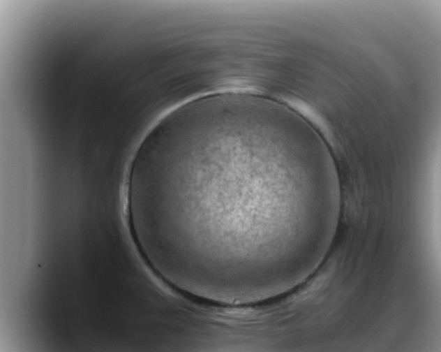 X0000090431383200707201128