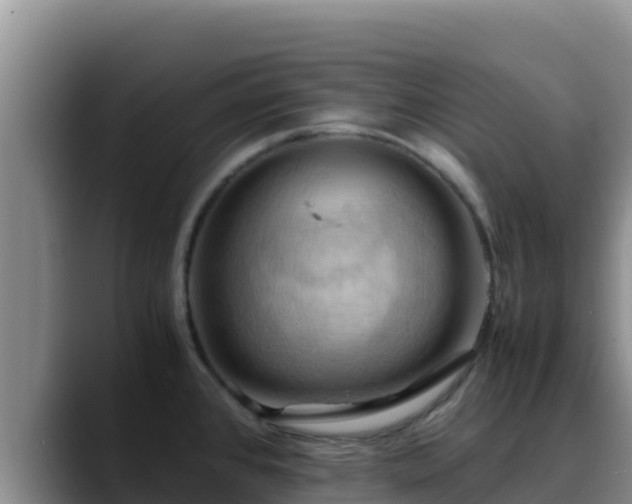 X0000090431384200707201128