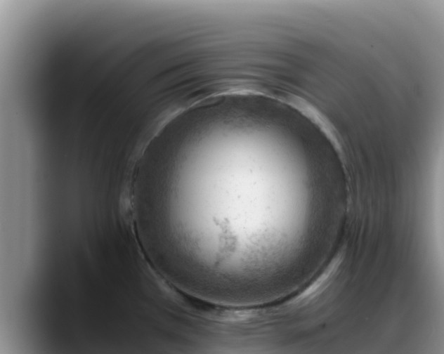X0000090431385200707201128