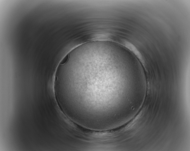 X0000090431386200707201128