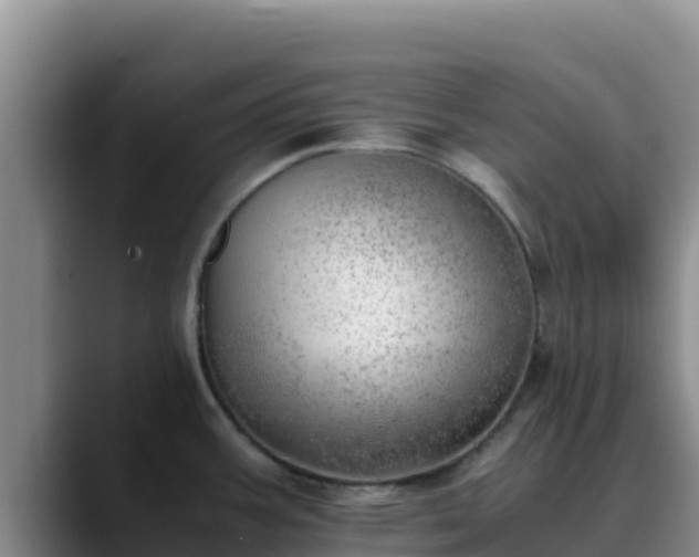 X0000090431387200707201128