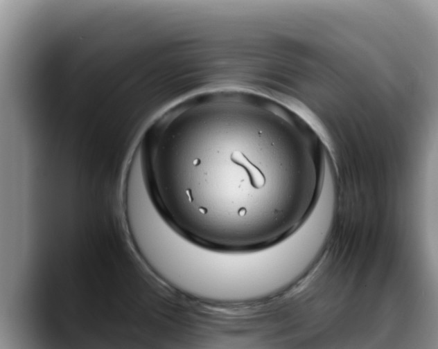 X0000090431388200707201128