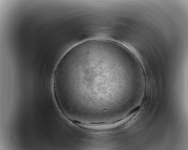X0000090431390200707201128