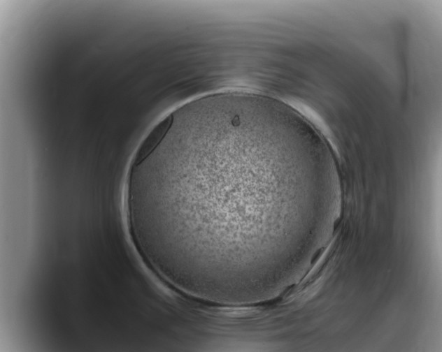 X0000090431391200707201128