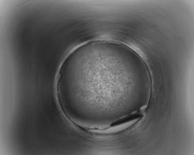 X0000090431392200707201128