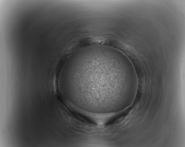 X0000090431394200707201128