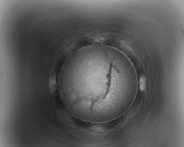 X0000090431395200707201128