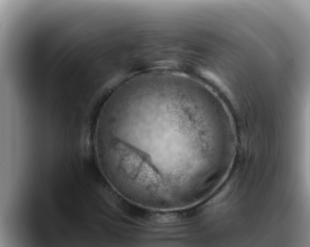 X0000090431403200707201128