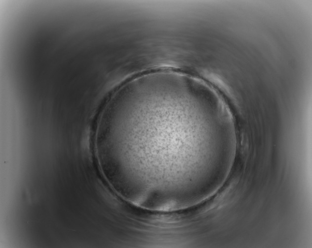 X0000090431404200707201128