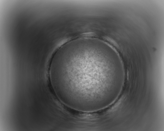 X0000090431405200707201128