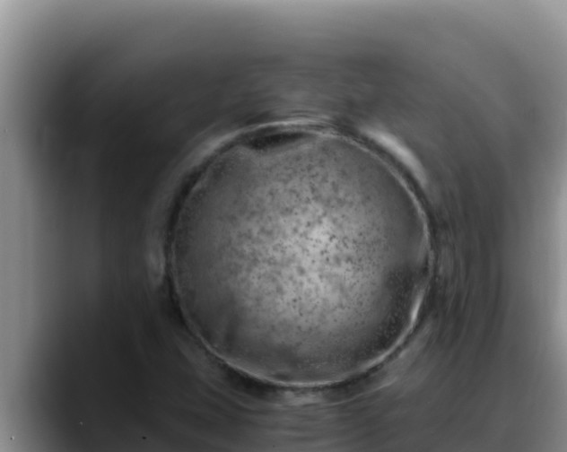 X0000090431407200707201128