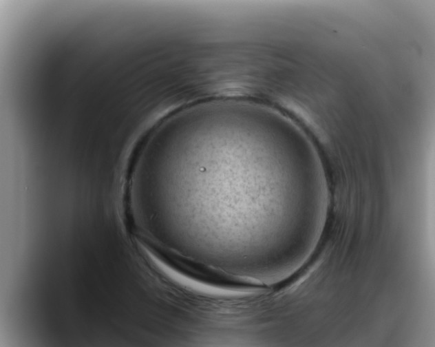 X0000090431410200707201128