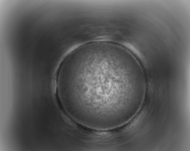 X0000090431413200707201128