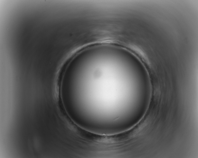 X0000090431414200707201128