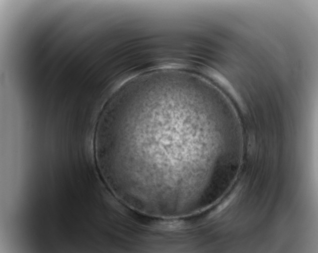 X0000090431417200707201128