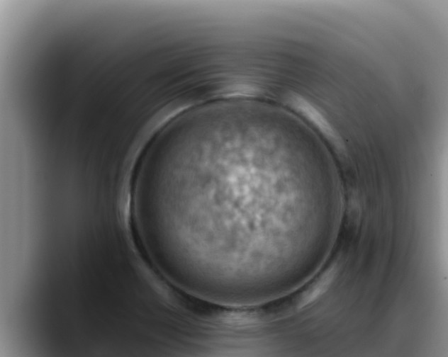 X0000090431418200707201128