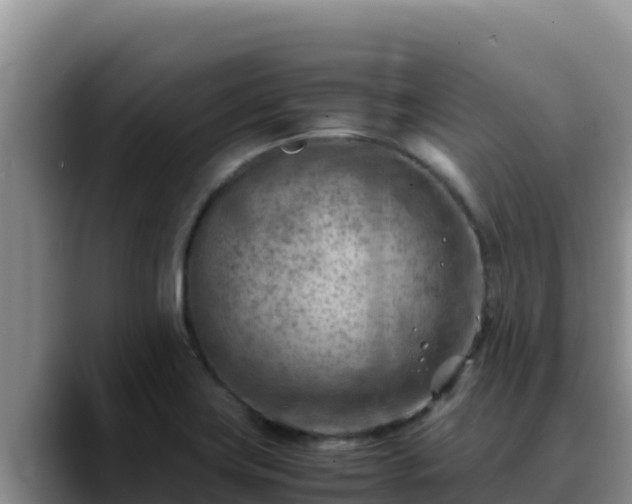 X0000090431419200707201128
