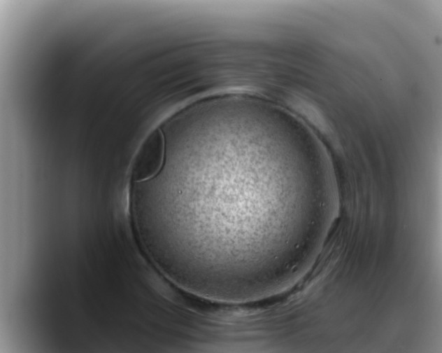X0000090431420200707201128