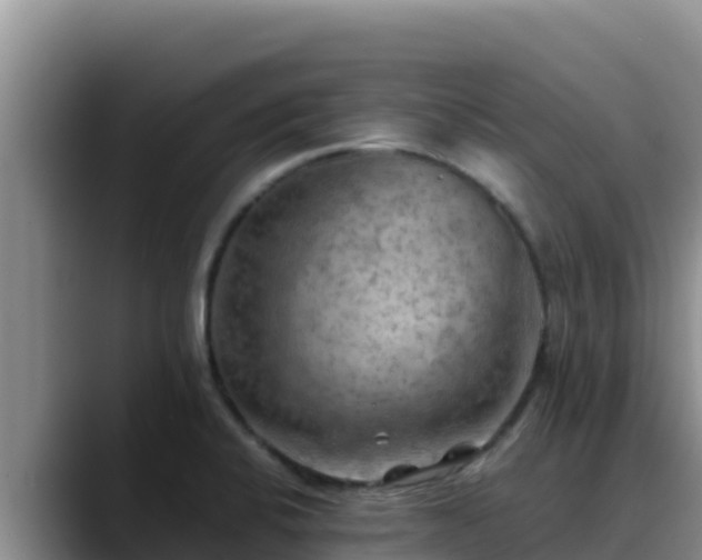 X0000090431424200707201128