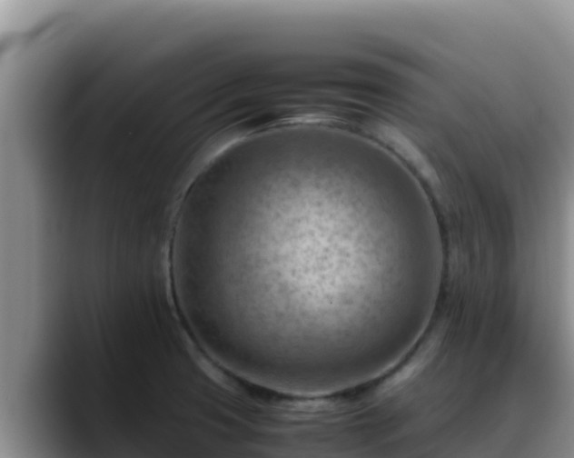 X0000090431425200707201128