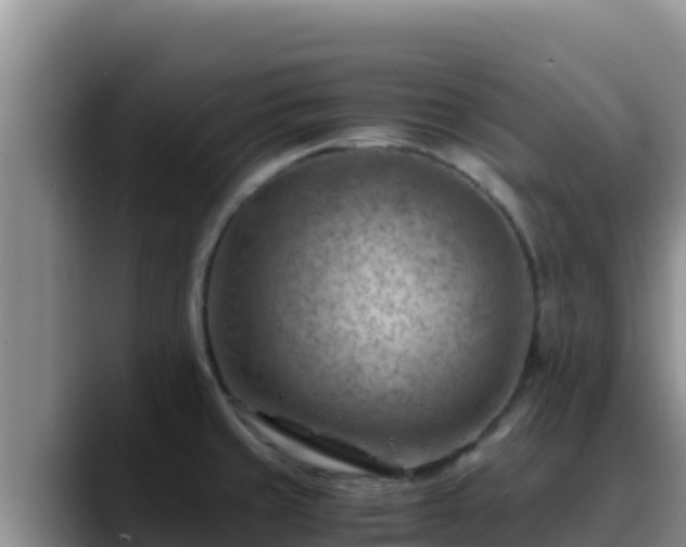 X0000090431429200707201128