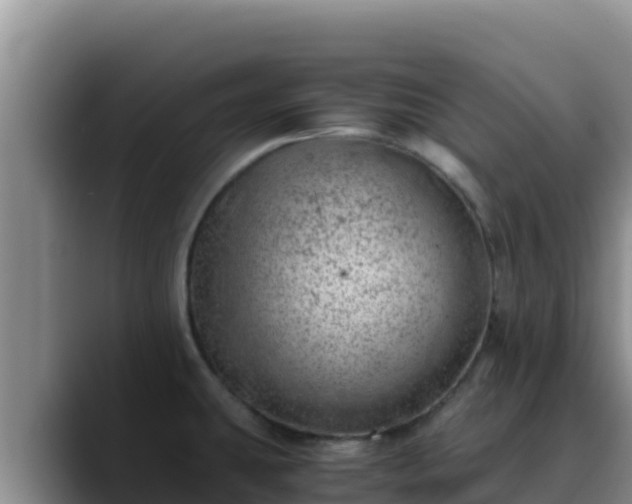 X0000090431431200707201128