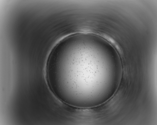 X0000090431432200707201128