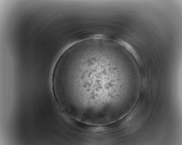 X0000090431435200707201128