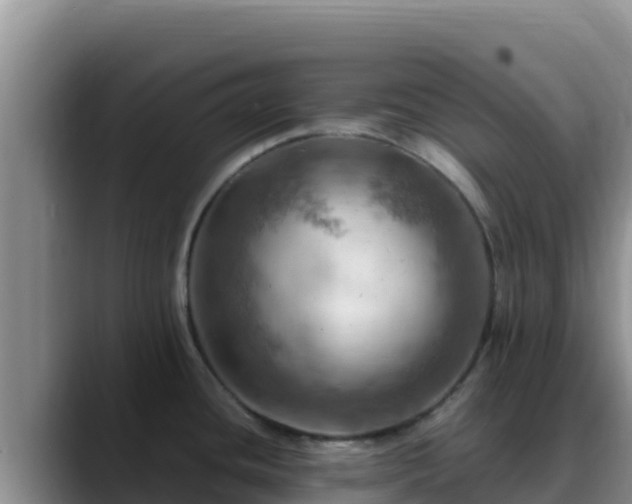 X0000090431436200707201128