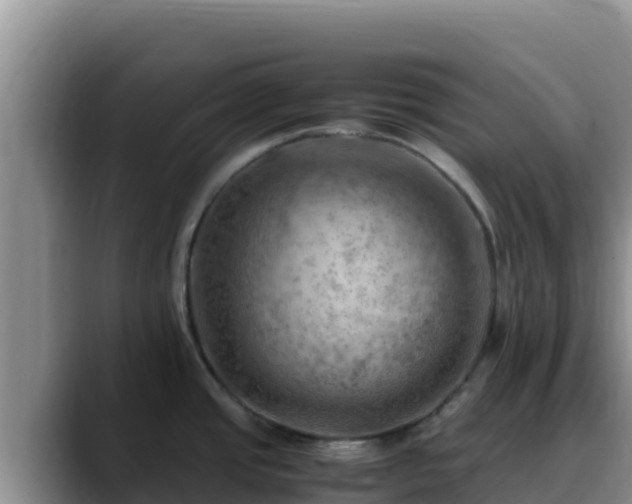 X0000090431437200707201128