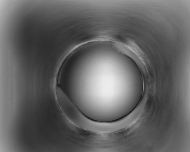 X0000090431438200707201128