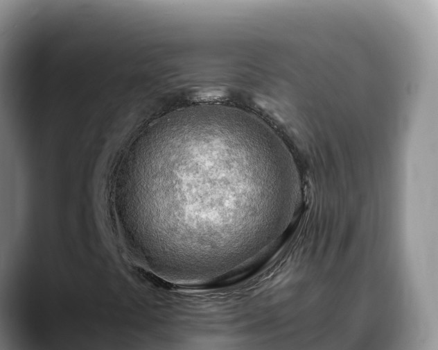 X0000090431441200707201128