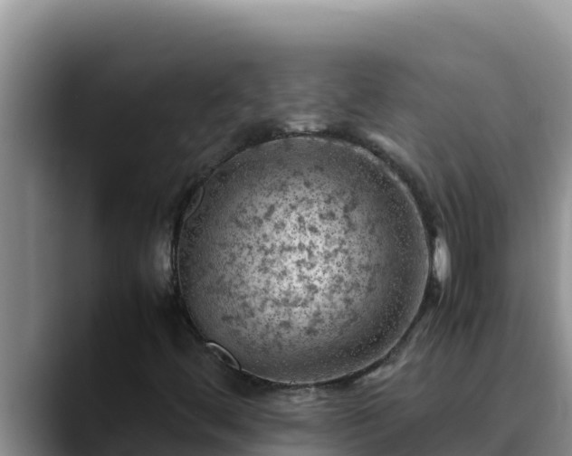 X0000090431444200707201128