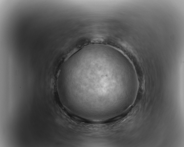 X0000090431445200707201128
