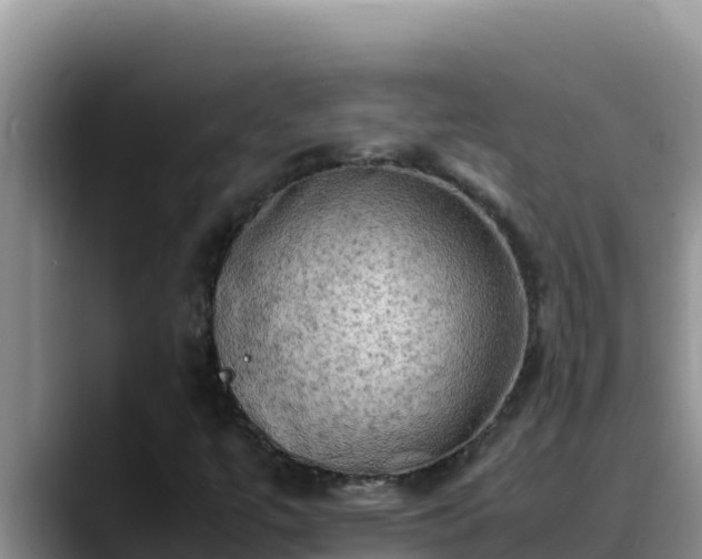 X0000090431447200707201127